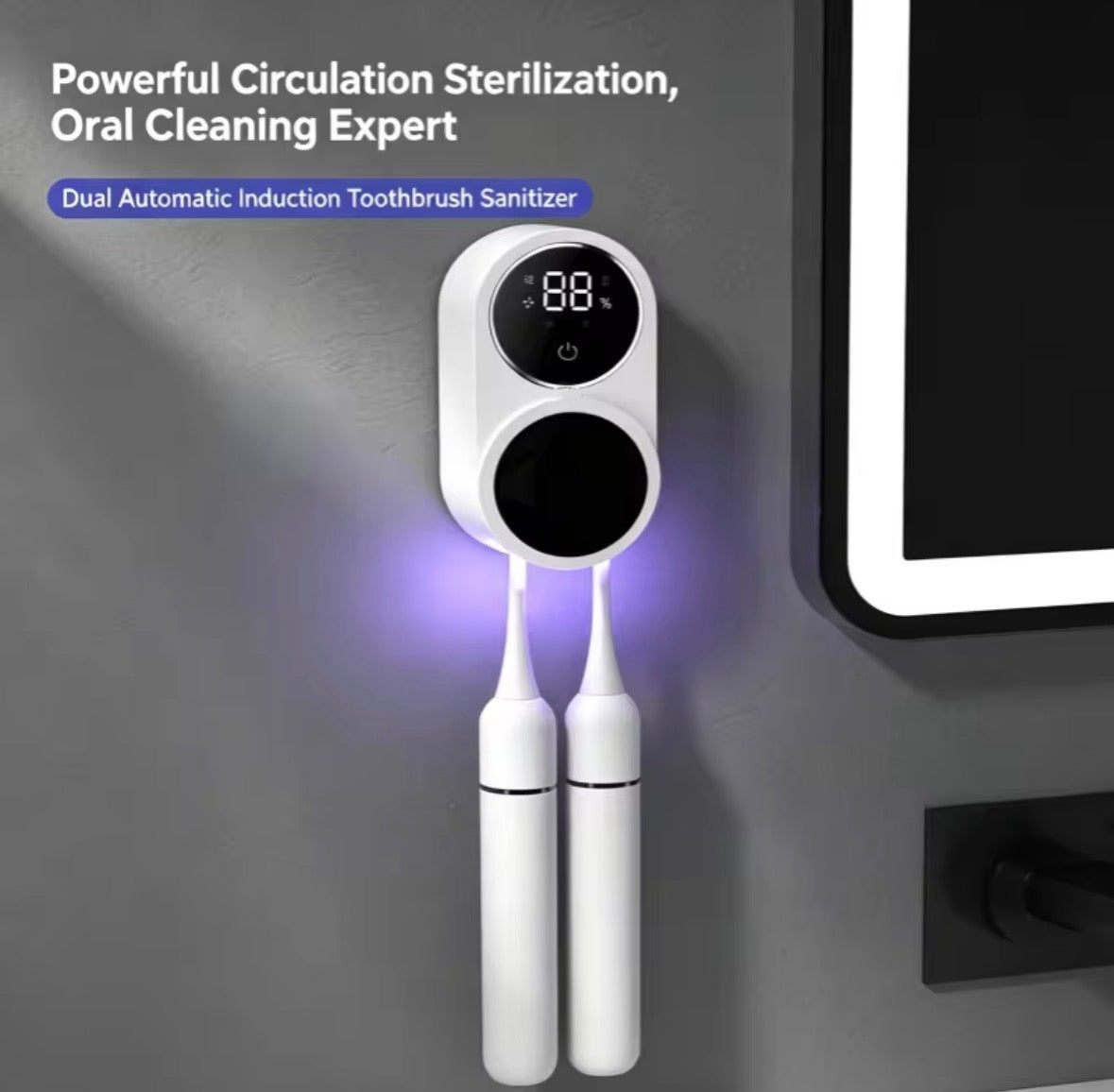 UV Toothbrush Sterilizer